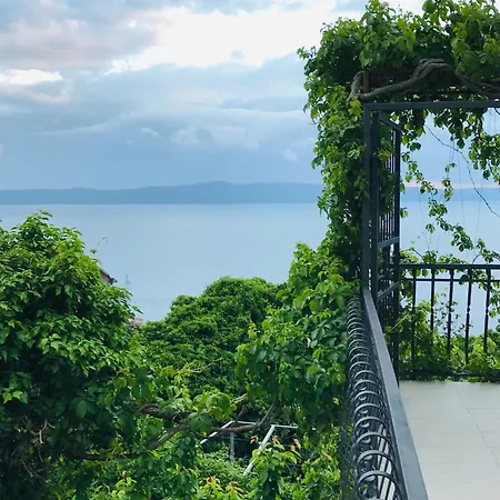 Vedran * Podgora (Split-Dalmatia)