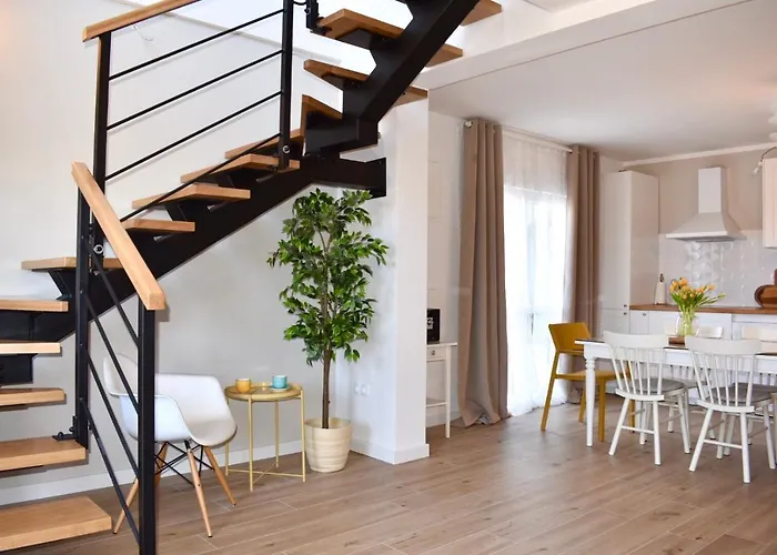 Vedran * بودغورا