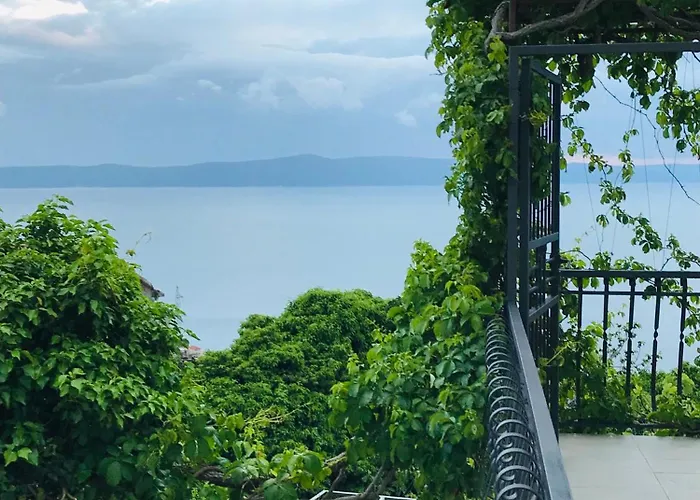 Vedran * Podgora (Split-Dalmatia)